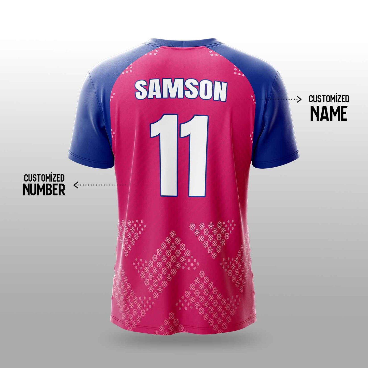 Rajasthan RR IPL Cricket Jersey 2025