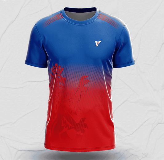 IPL Bangalore 2024 Jersey yourjerseyj